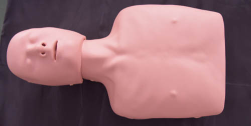 HY-CPR120  簡易心肺復蘇訓練模型